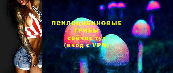 амф Бронницы