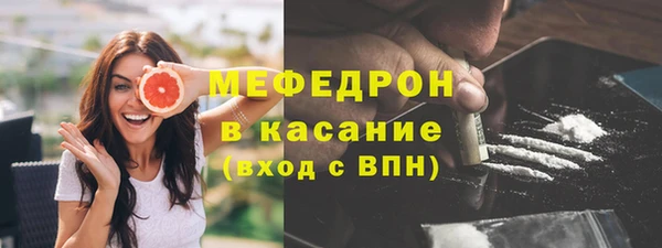 дмт Бородино