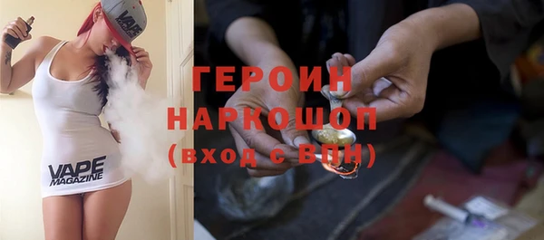 дмт Бородино