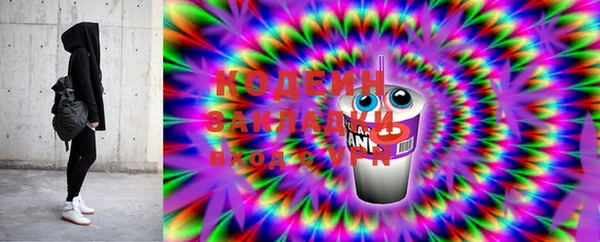 дмт Бородино