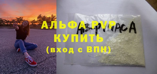 дмт Бородино