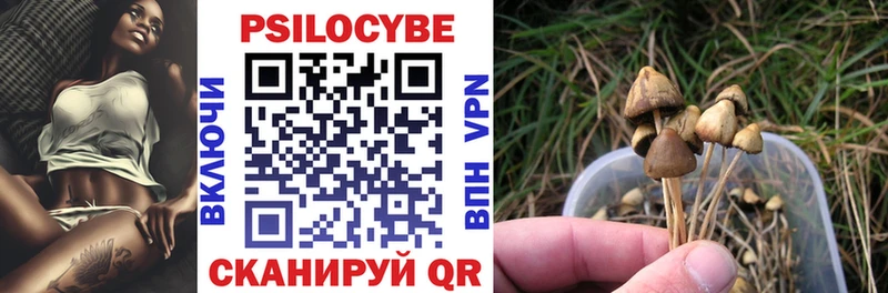 купить  сайты  Вязьма  Псилоцибиновые грибы мухоморы 